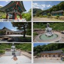 제777차 정기산행(`26년 9월) 영동. 월류봉 둘레길+산행 참가 안내 이미지