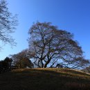 옥천 식장산(食藏山) 독수리봉과 구절사(龜截寺) 이미지