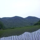 신원2리 이미지