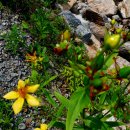 마리소리골악기박물관 이미지