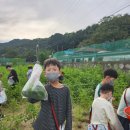 삼우농장 이미지