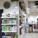 개와냥이동물병원 이미지