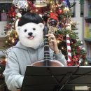 첼로(초등학교 1~6학년) 이미지