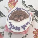 일산 슈퍼멍멍 네이버블로그