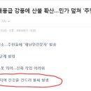 강릉 화재 원인 관련해서... 이미지