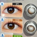 오렌즈영등포점 | W. 웨딩촬영 렌즈추천 (오렌즈 비비링 초코, 글로이 블랙, 글로이 내츄럴 모카브라운)