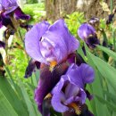 원창2리 이미지