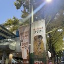 앞산살롱콘서트-전람회속 멜로디 이미지