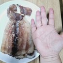 로하스 수산식품거점단지 이미지