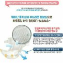 앙젤로이 | 밤기저귀추천 밤에새지않는기저귀 앙젤로가 좋아요