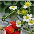 천마태권도장 이미지