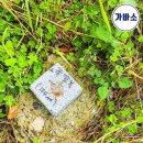 자은중학교 | [230606 신안 자은도 두봉산 산행 후기]