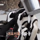 종점포차 이미지