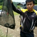 늘푸른낚시 이미지