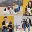 댕댕이루 이미지