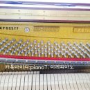 대동황토방(아) 이미지