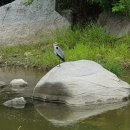 57번지게스트하우스 이미지