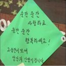 [수서3] 보이차 이야기 (4회 : 10/19~11/09) | 2025년 12월. HF 청년 버팀목 전세대출 후기 VOL2. [대출 실행 타임라인/신한은행/이사 당일/보증보험가입]