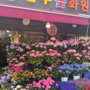 강동화원 - 과천시 물사랑로 241 | [꽃집] 강동에서 꽃 사야한다면? 강동구 화원 방문후기