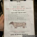 뉴대보스파 이미지