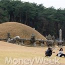 왕과비 이미지