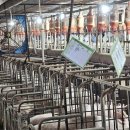 성산축사 이미지