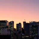 세운호텔 | 더 보타닉 세운 명동 호텔 솔직 후기