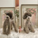 바스인더썬 이미지