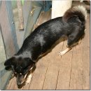 광탄한의원 이미지