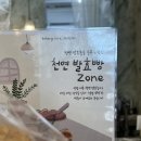 [왕십리역베이커리카페] 애견동반이 가능한 분위기 좋고 빵이 맛있는 어거스트칠사일