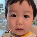 (주)이비코 네이버블로그