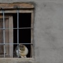 청려원동물병원 이미지