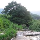 별천계곡 이미지