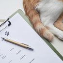 (주)대웅펫 이미지