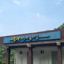 송이 초심정 이미지