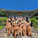 스테이청춘 이미지