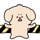 대성에스알