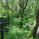 자연그리 이미지