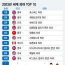 2023년 세계의대 T0P 10 이미지