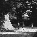 경기도 양평군 서종초등학교 이미지