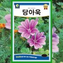 금규 쇼핑하우