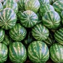 아레아필라테스 소사본점 이미지