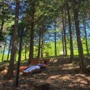 서림공원 1 이미지