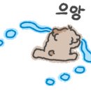 삼정회계법인 이미지