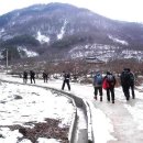 서오산농장 Daum카페