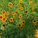 용비쉼터 이미지