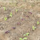 건양농장 이미지