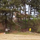 뜰아래솔바다 이미지