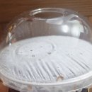 봉명동 내커피 | 대전 괴정동카페 봉명동내커피 배달 간단후기