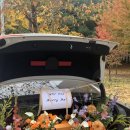 대한꽃집 이미지